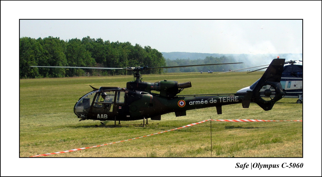 2004 - 06 - Gazelle 2.JPG